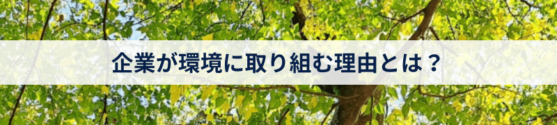 企業が環境に取り組む理由とは？