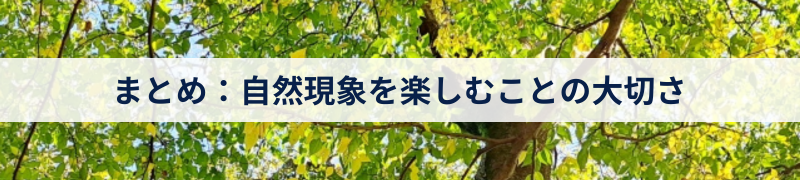 まとめ：自然現象を楽しむことの大切さ