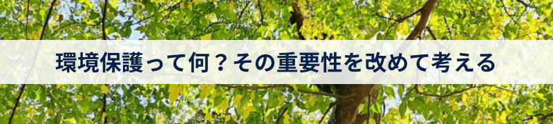 環境保護って何？その重要性を改めて考える